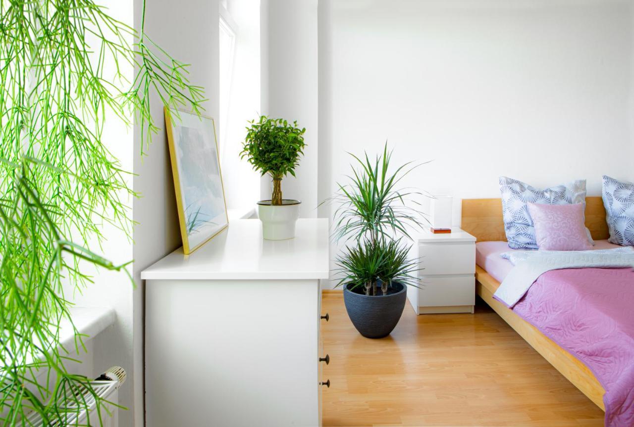 5 Min Zur Elbe, Helle Geraeumige 2-Raum-Whg, Neustadt, Top Lage 德累斯顿 外观 照片